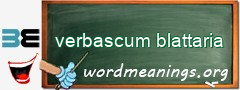 WordMeaning blackboard for verbascum blattaria